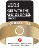2013 Get With The Guidelines - Stroke - Gold Plus - American Heart Association